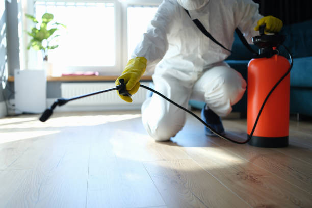 Best Residential Pest Control  in Brentwood, MO