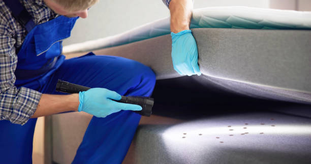 Best Emergency Pest Control  in Brentwood, MO